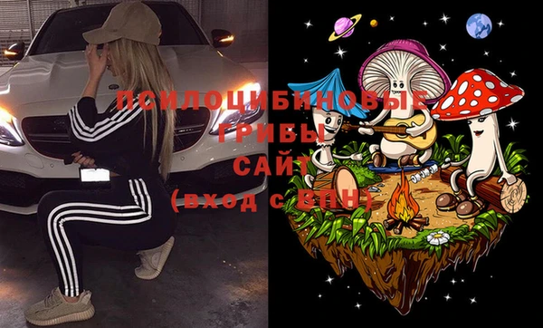 герыч Елабуга