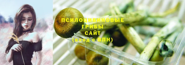 марихуана Заводоуковск