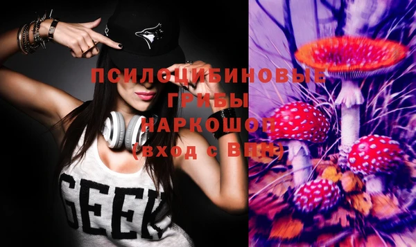 марихуана Заводоуковск