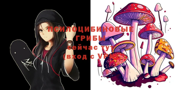хмурый Заволжск