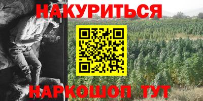 прущие крисы Малгобек
