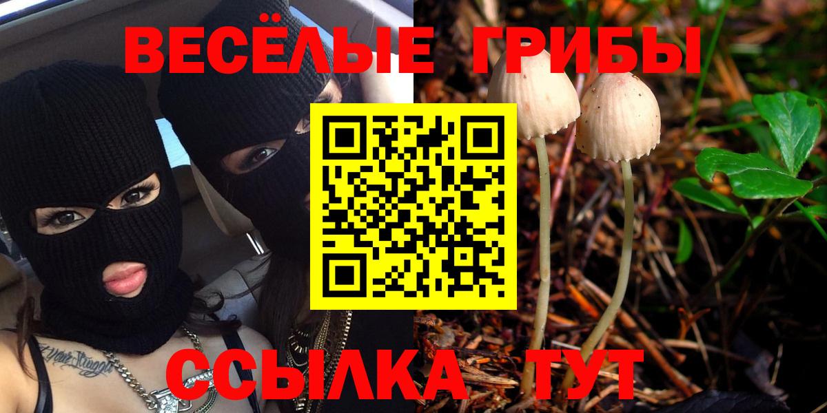 Галлюциногенные грибы MAGIC MUSHROOMS Зеленодольск