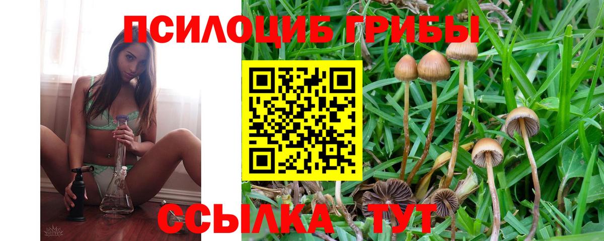 Галлюциногенные грибы Cubensis  Псилоцибиновые грибы GOLDEN TEACHER  Зеленодольск  Вход с VPN 